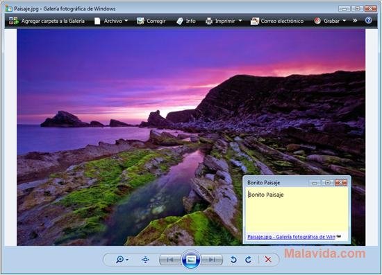 GumNotes 1.3.1.740