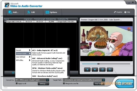 iSkysoft Video to Audio Converter  2.1.0.74