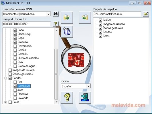MSN BackUp  1.3.4