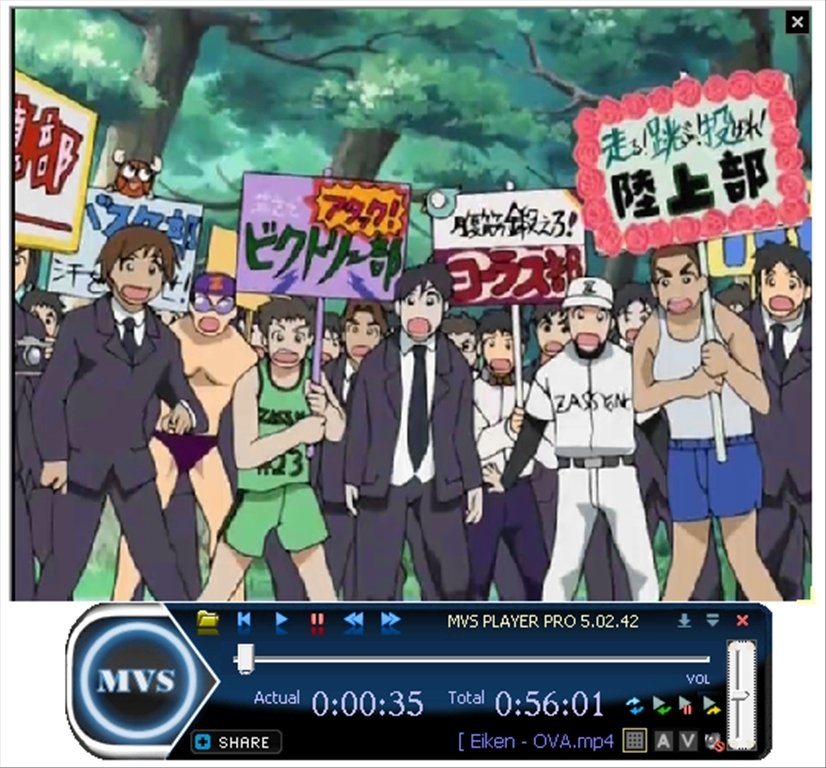 MVS Player Pro 5.02.42