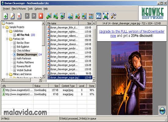 NeoDownloader Lite 2.3 Englez�