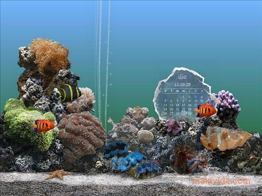 SereneScreen Marine Aquarium 2.6