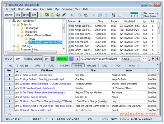 Tag Clinic 4.3.8.7 Ingl�s