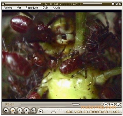 Total Video Player 1.31