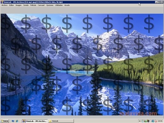 VuePrint Pro 8.0