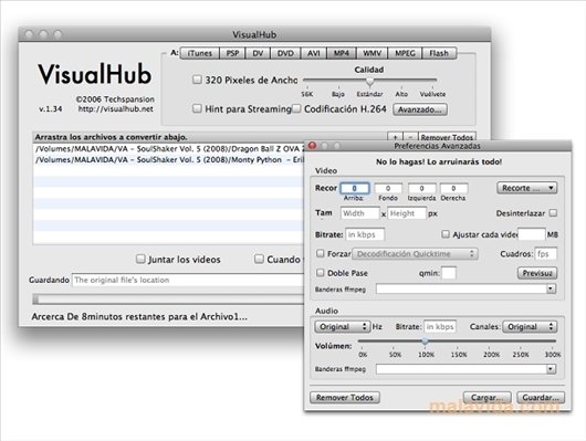VisualHub v1.34a Englez�
