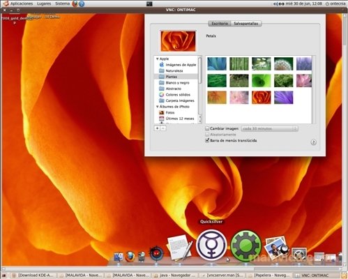 VNC  4.1.3 Ingl�s