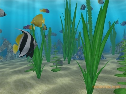Water Life 3D Screensaver 2.9.6 Englez�