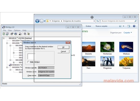 WinSpy 1.0 Engels