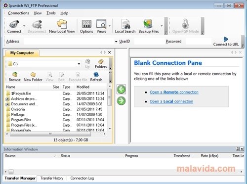 Ipswitch WS_FTP  Professional 12