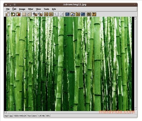 XnView v1.70 + NView/NConvert v4.51 Ingl�s