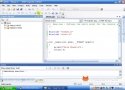 C�mo desarrollar una aplicaci�n con Visual C++