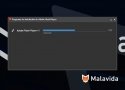 C�mo instalar Flash Player