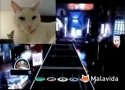 Crear v�deos con pantalla dividida