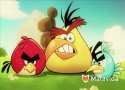 Descubre Angry Birds