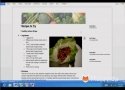 Primeras im�genes de Office 15