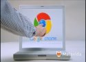 Toma contacto con el navegador de Google