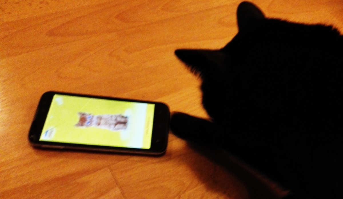 7 aplicaciones para las 7 vidas de tu gato - imagen 3