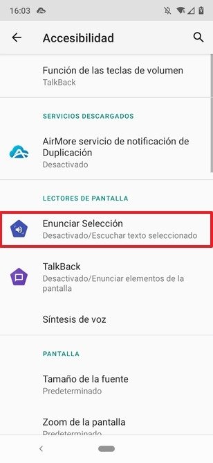 Apartado para activar la lectura de texto en Android