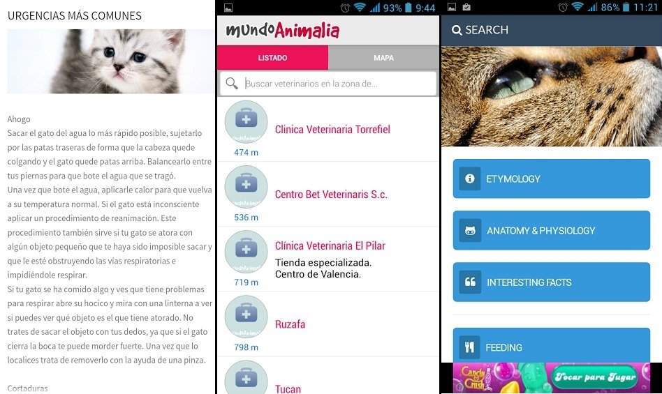 Aplicaciones Android para los amantes de los gatos