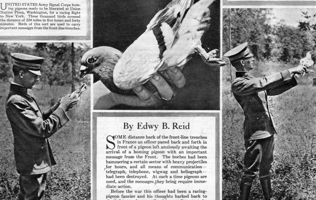ASí se enviaban las palomas mensajeras en la Guerra francoprusiana
