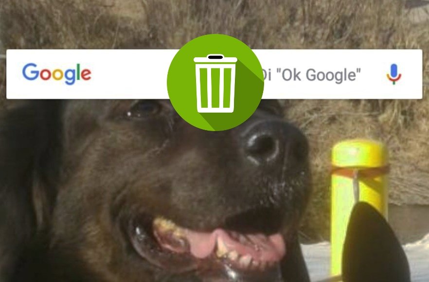 Barra de Google en la pantalla de inicio de Android