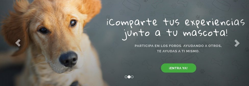 Captura de pantalla de Webanimales