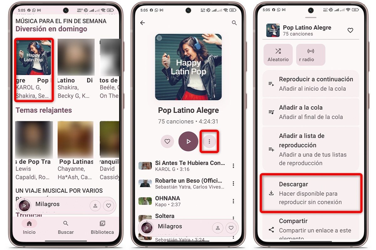 Cómo bajarte playlists enteras en Metrolist