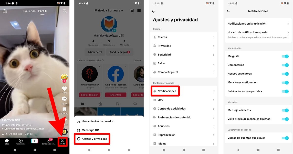 Cómo desactivar las notificaciones de TikTok desde la propia app