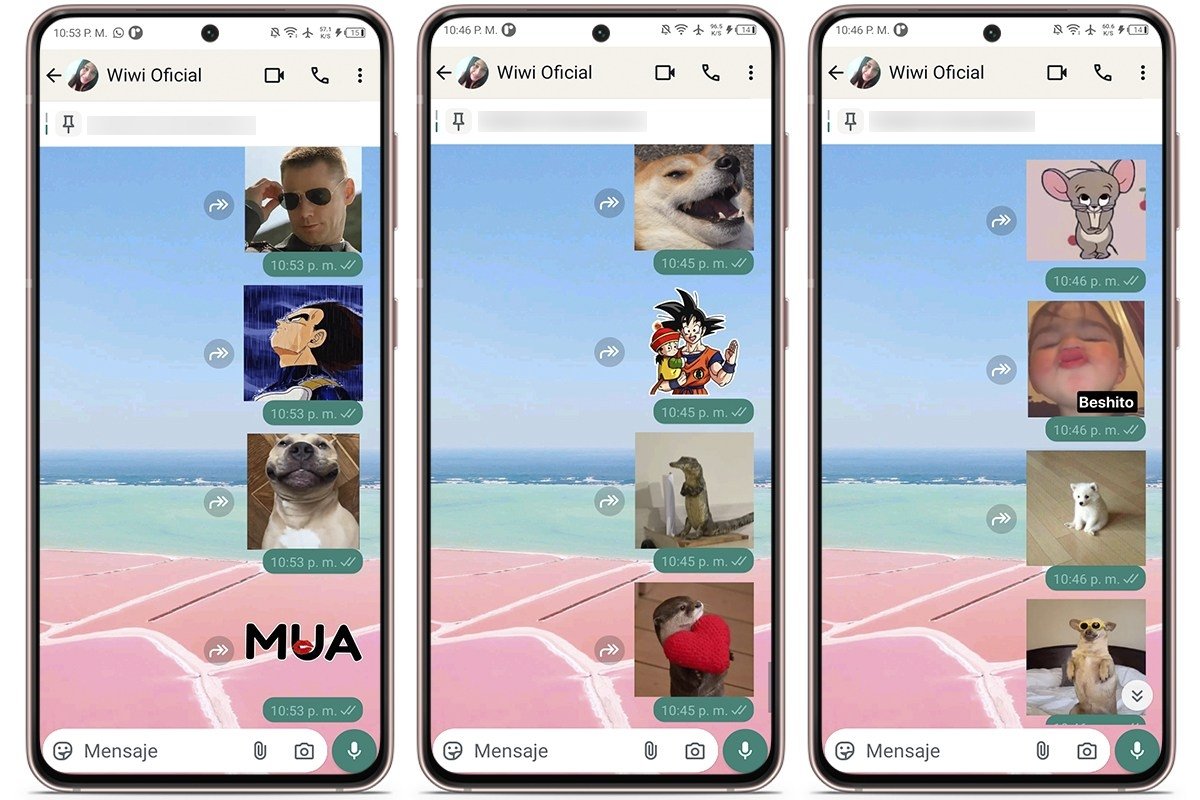 Cómo recuperar stickers borrados desde WhatsApp