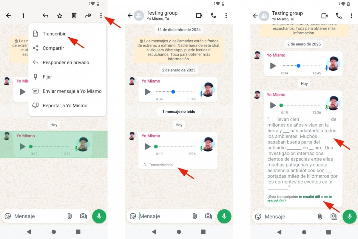 Convertir notas de voz a texto con WhatsApp