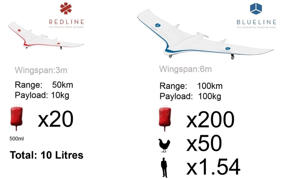 Dos redes de transporte diferentes: la Redline y la Blueline