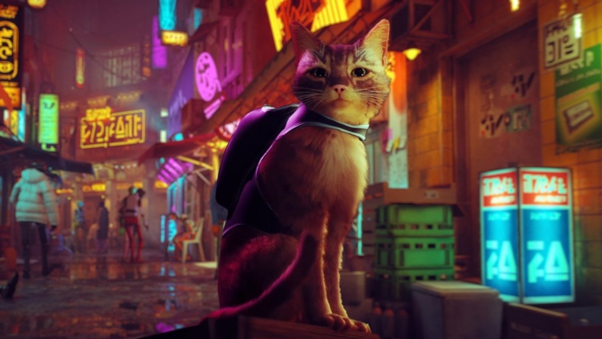 El gato protagonista de Stray