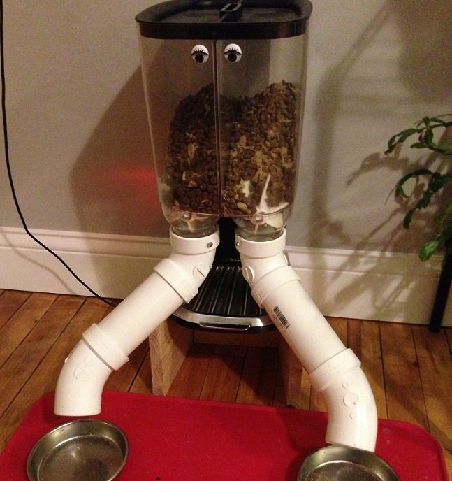 El Power Cat Feeder: ponerle ojos era necesario