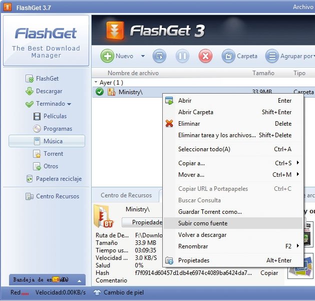 FlashGet 10