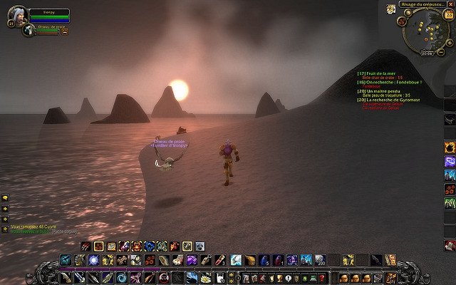 Gameplay de World of Warcraft