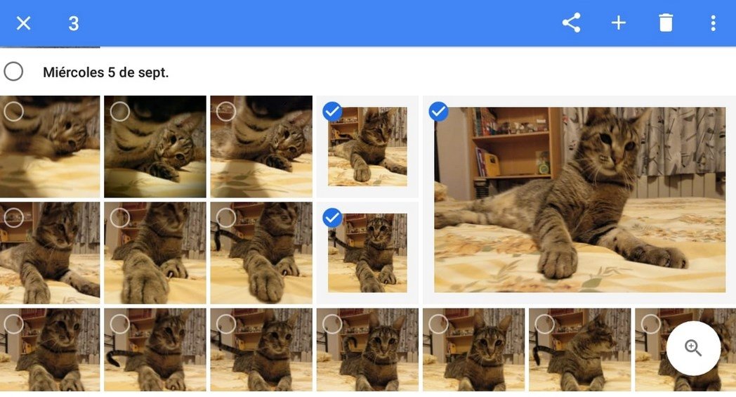 Google Fotos es una gran opción para hacer copias de seguridad de nuestras fotos y guardarlas en la