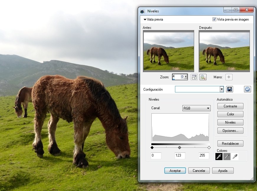 Histograma de una foto en Corel