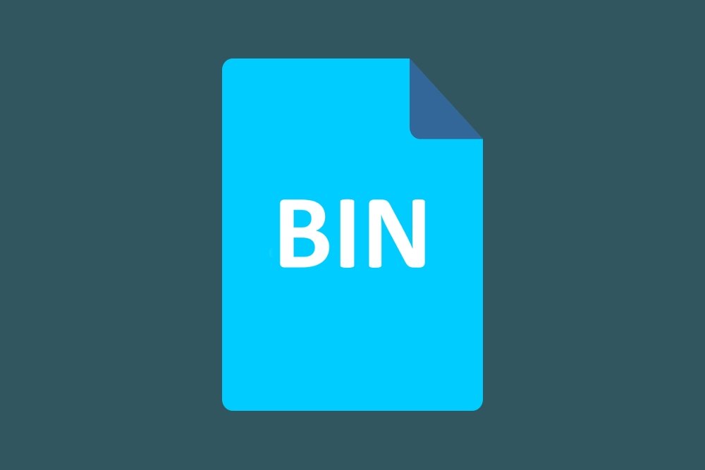 Icono ilustrativo de un archivo BIN