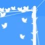 Bots de Twitter útiles, curiosos y divertidos