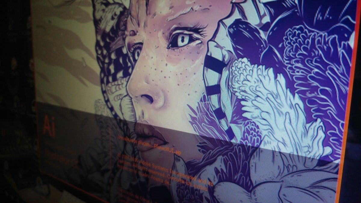 Adobe Illustrator