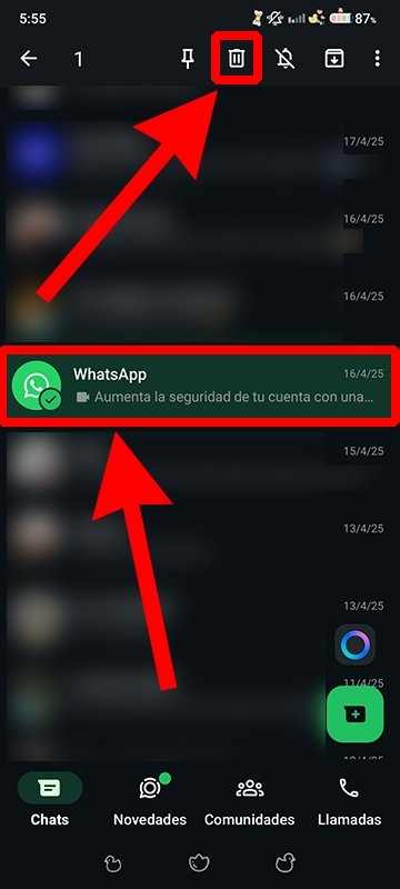 Pasos para borrar el chat oficial de WhatsApp