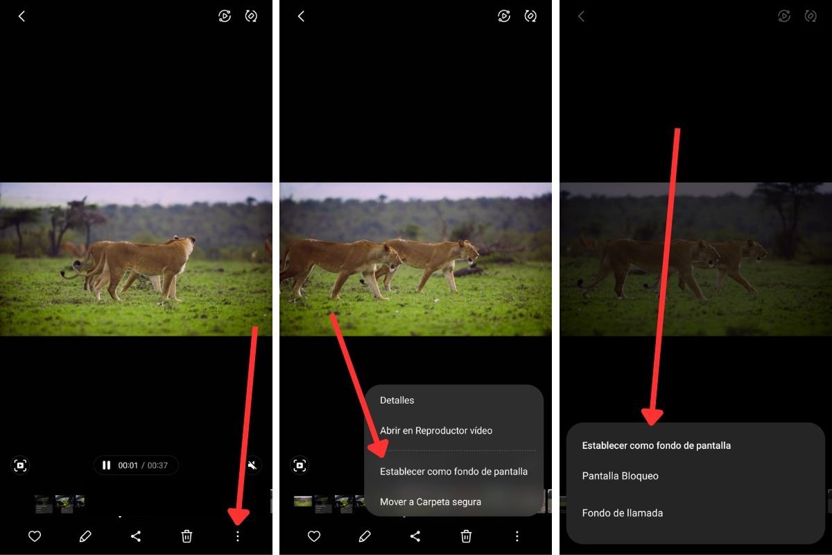 Poner un vídeo de fondo en Android desde la galería