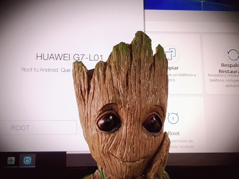 Root Windows