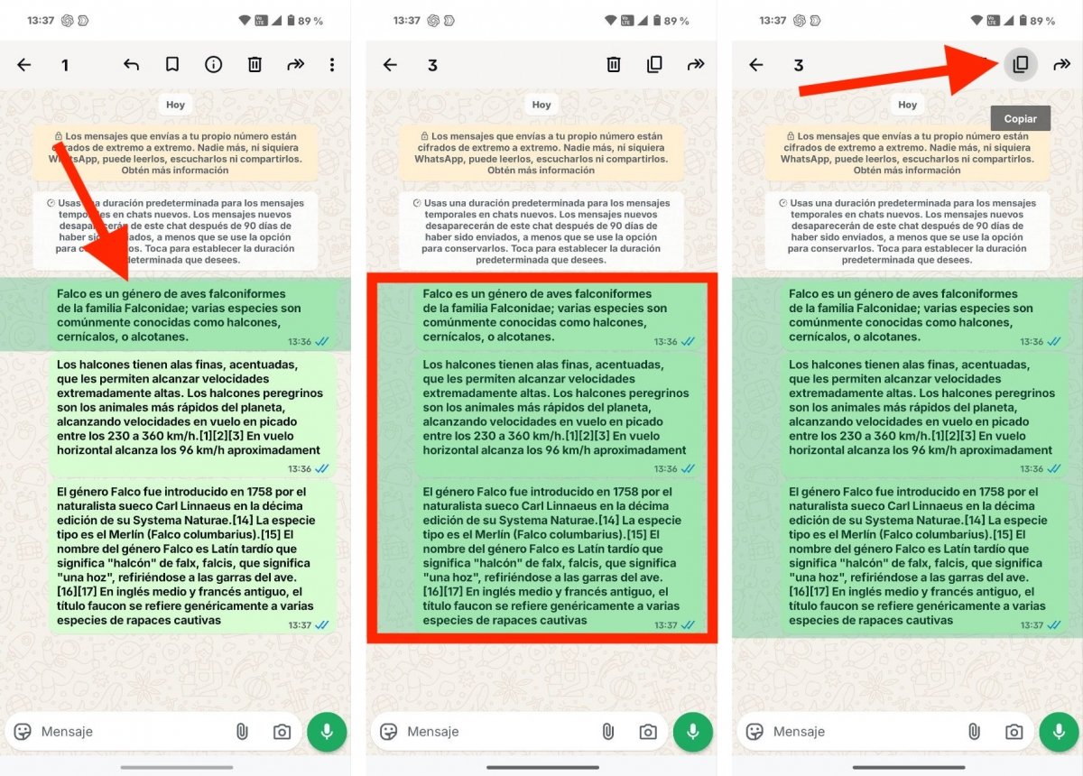 Seleccionando varios mensajes de WhatsApp para enviárselos a Perplexity