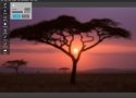 Autodesk lanza su editor de imágenes Pixlr para Windows y Mac - imagen 4