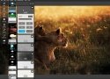 Autodesk lanza su editor de imágenes Pixlr para Windows y Mac - imagen 6