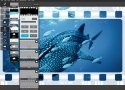 Autodesk lanza su editor de imágenes Pixlr para Windows y Mac - imagen 7