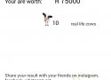 Resultado final en vacas en Lobola Calculator
