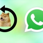 Cómo recuperar stickers borrados en WhatsApp